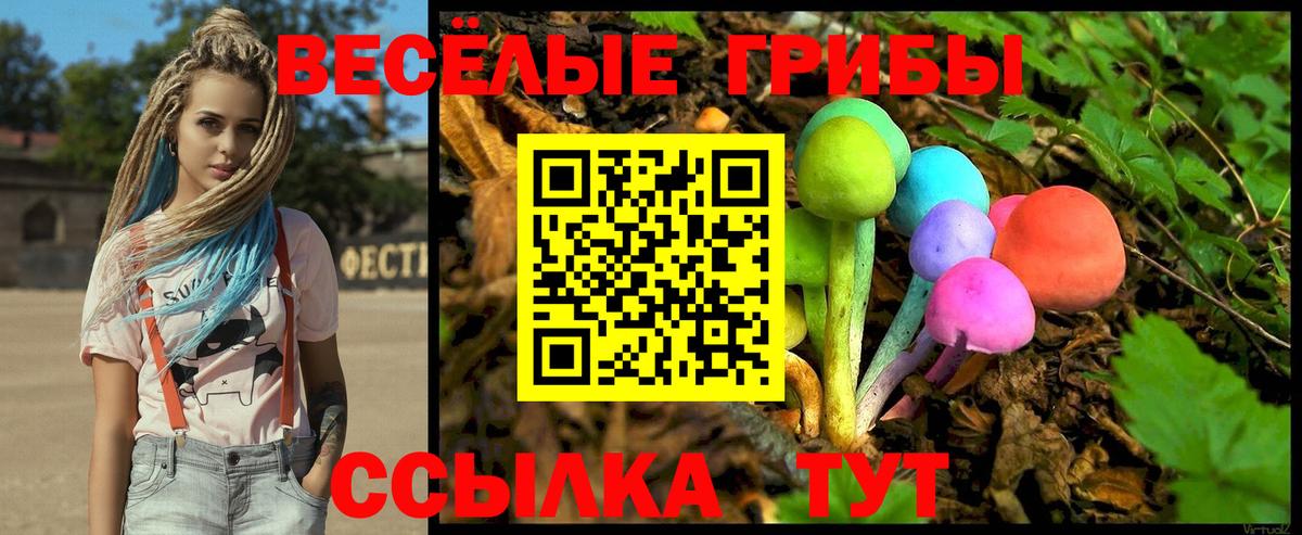 где купить наркотик  Псилоцибиновые грибы Psilocybe  Вход с VPN  Мелеуз 